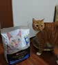 冠能猫粮室内成猫猫粮7kg 全价猫粮 添加膳食纤维 控制毛球 实拍图