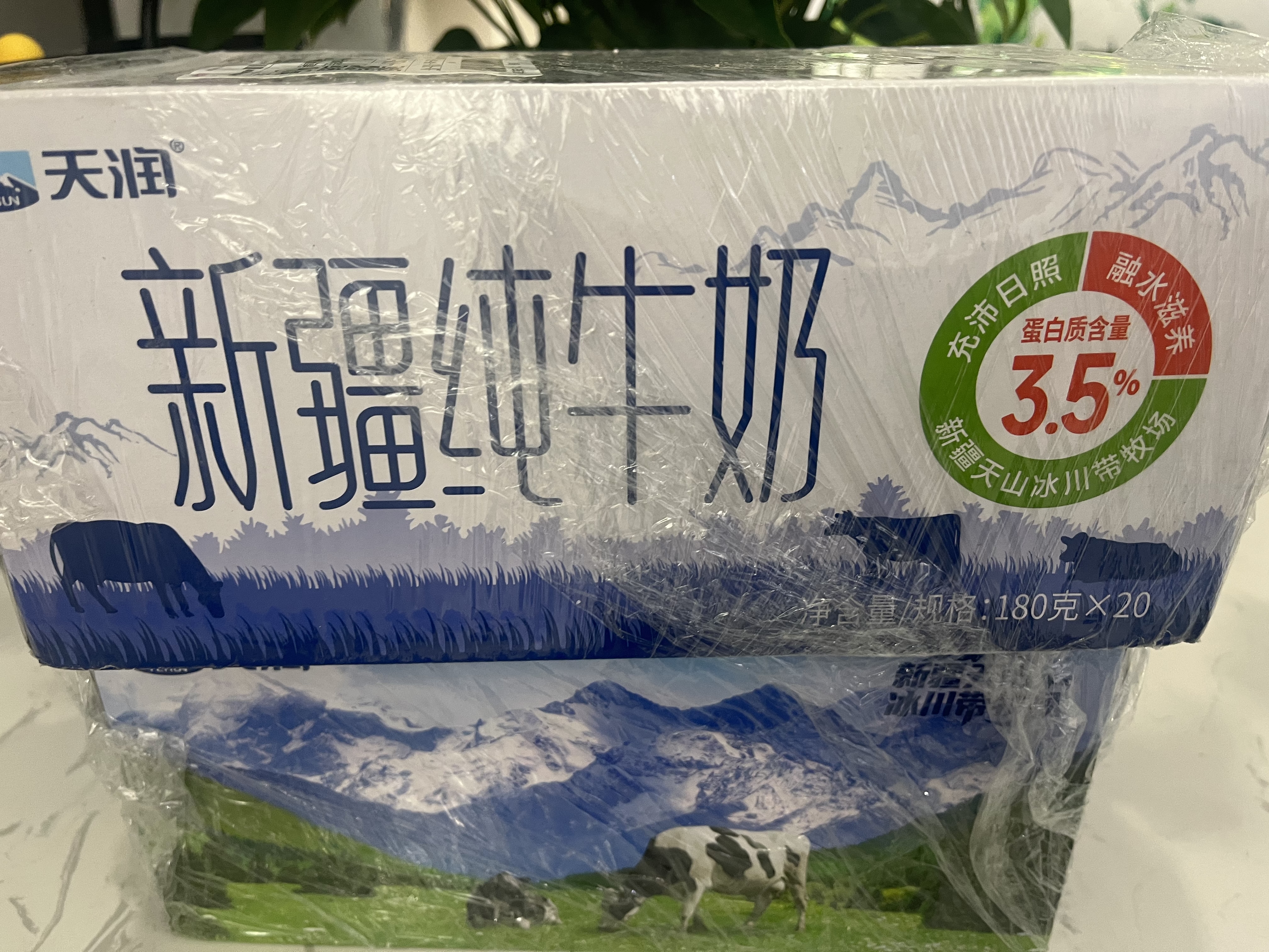 天润新疆纯牛奶180g*20盒 (无添加剂）团购礼盒装 实拍图
