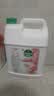 滴露（Dettol）洗手液补充装大桶消毒滋润5L 儿童家庭装杀菌护手 实拍图