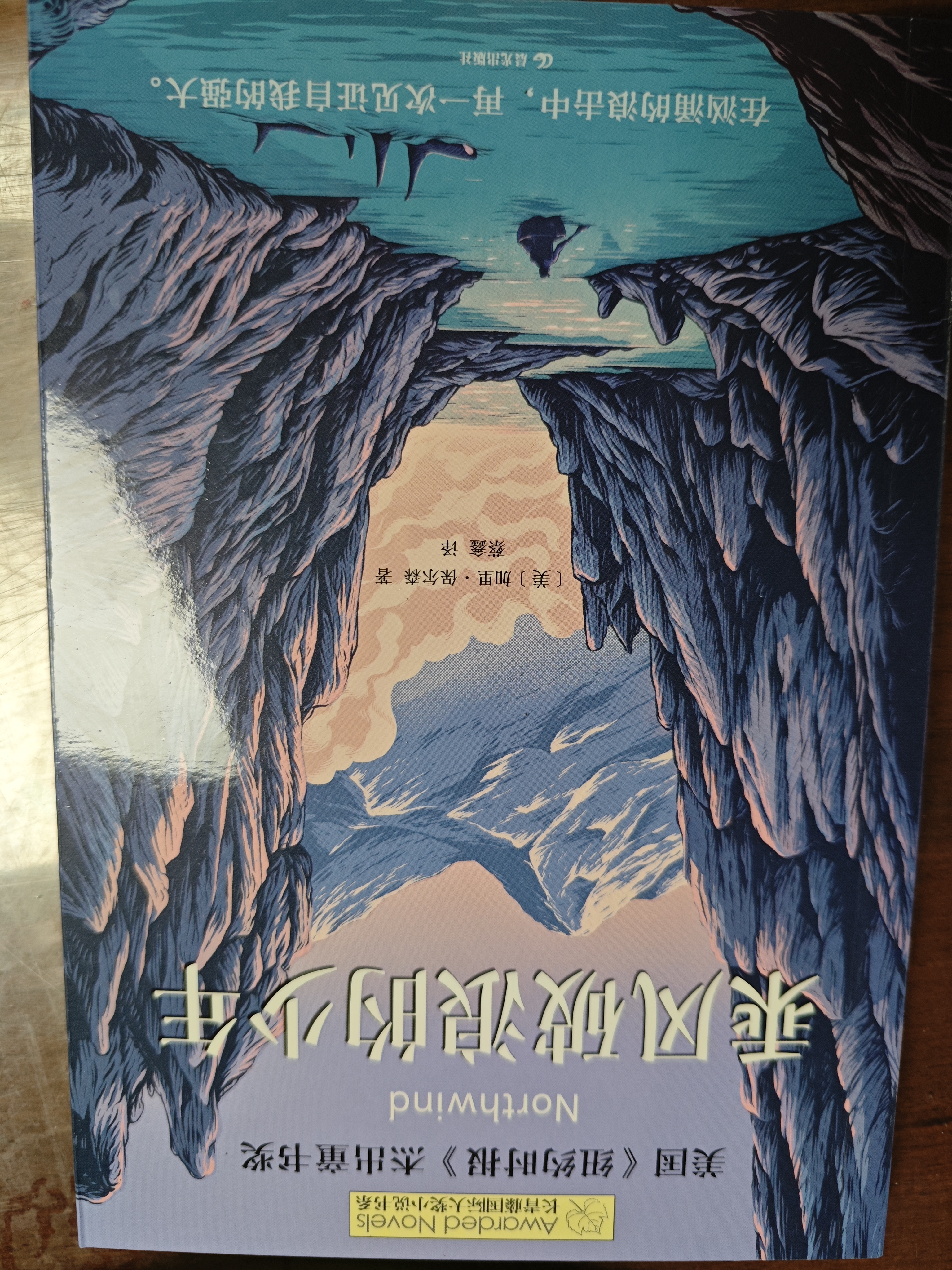 长青藤国际大奖小说乘风破浪的少年《纽约时报》杰出童书奖三四五六年级中小学生必读影响孩子一生的国际儿童文学奖经典名著课外阅读  实拍图