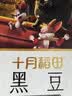 十月稻田 黑豆 2斤 青仁绿芯黑豆 非转基因打豆浆 东北五谷杂粮粗粮高蛋白 实拍图