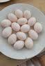 都丰年（DUFENGNIAN）鸽子蛋20枚共400g 鲜鸽子蛋 源头直发 杂粮喂养 孕妇宝宝放心吃 实拍图
