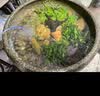 森森鱼缸增氧泵水族箱氧气泵LQE-50家用小型充氧泵3W单孔+全套配件 实拍图