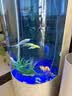 森森鱼缸增氧泵水族箱氧气泵家用小型充氧泵LQE-400 5W双孔+全套配件 实拍图