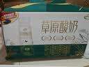 伊利草原酸奶巴氏杀菌原味酸奶230g*10瓶/箱  礼盒装 实拍图