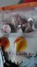 良品铺子什锦鹌鹑蛋450g卤蛋小包装64颗铁蛋即食盐焗卤味素食网红休闲零食 实拍图