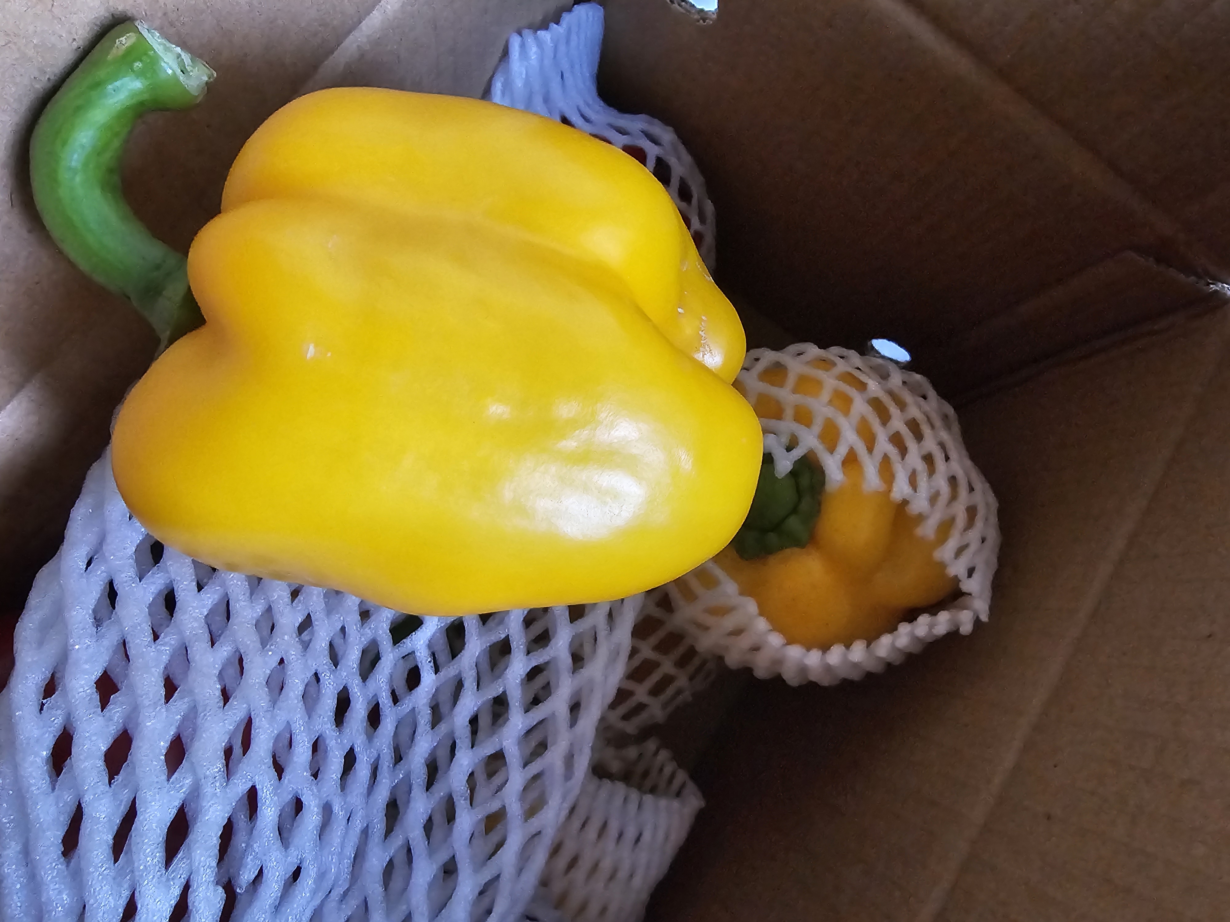 京鲜生红彩椒净重4.5斤 单果200g+新鲜红圆椒水果椒新鲜蔬菜 源头直发 实拍图