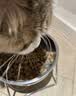 皇家（ROYAL CANIN）泌尿道处方猫粮LP34稀释尿液溶解鸟粪石结石猫全价处方粮1.5KG 实拍图