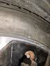 普利司通汽车轮胎 235/50R19 103T XL T005 MO配套奔驰EQB 实拍图