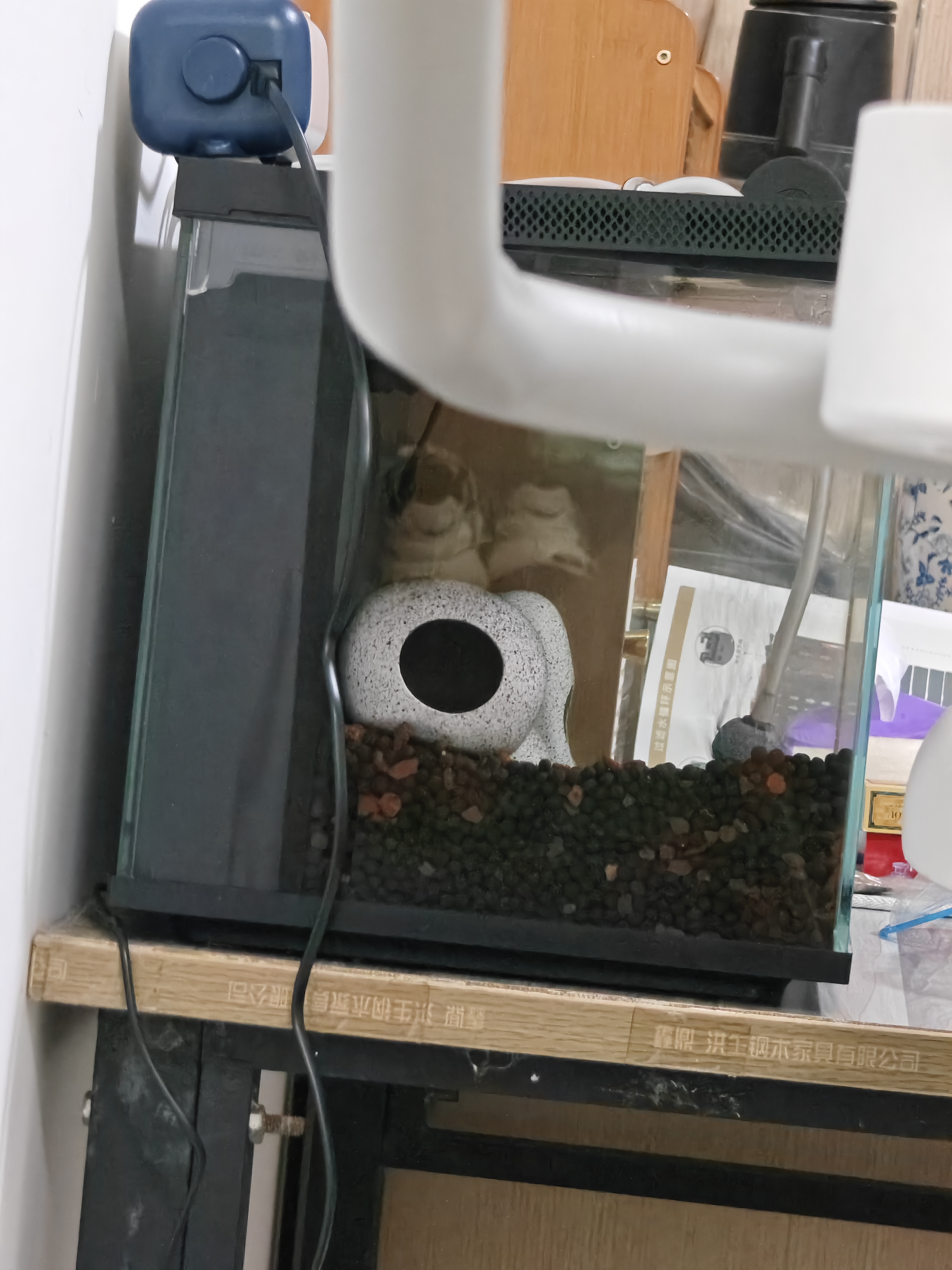 森森智能鱼缸自循环超白玻璃桌面鱼缸LEB-480 支持鸿蒙智联WIFI 实拍图