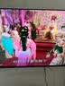 长虹欧宝丽京东联名款京东OS开机无广告50英寸Joylnside AI语音电视一级能效50Z60H-V 实拍图