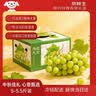 京鲜生特级阳光玫瑰葡萄【糖度≈18°Bx】5-5.5斤装 单果12g起 水果礼盒 实拍图