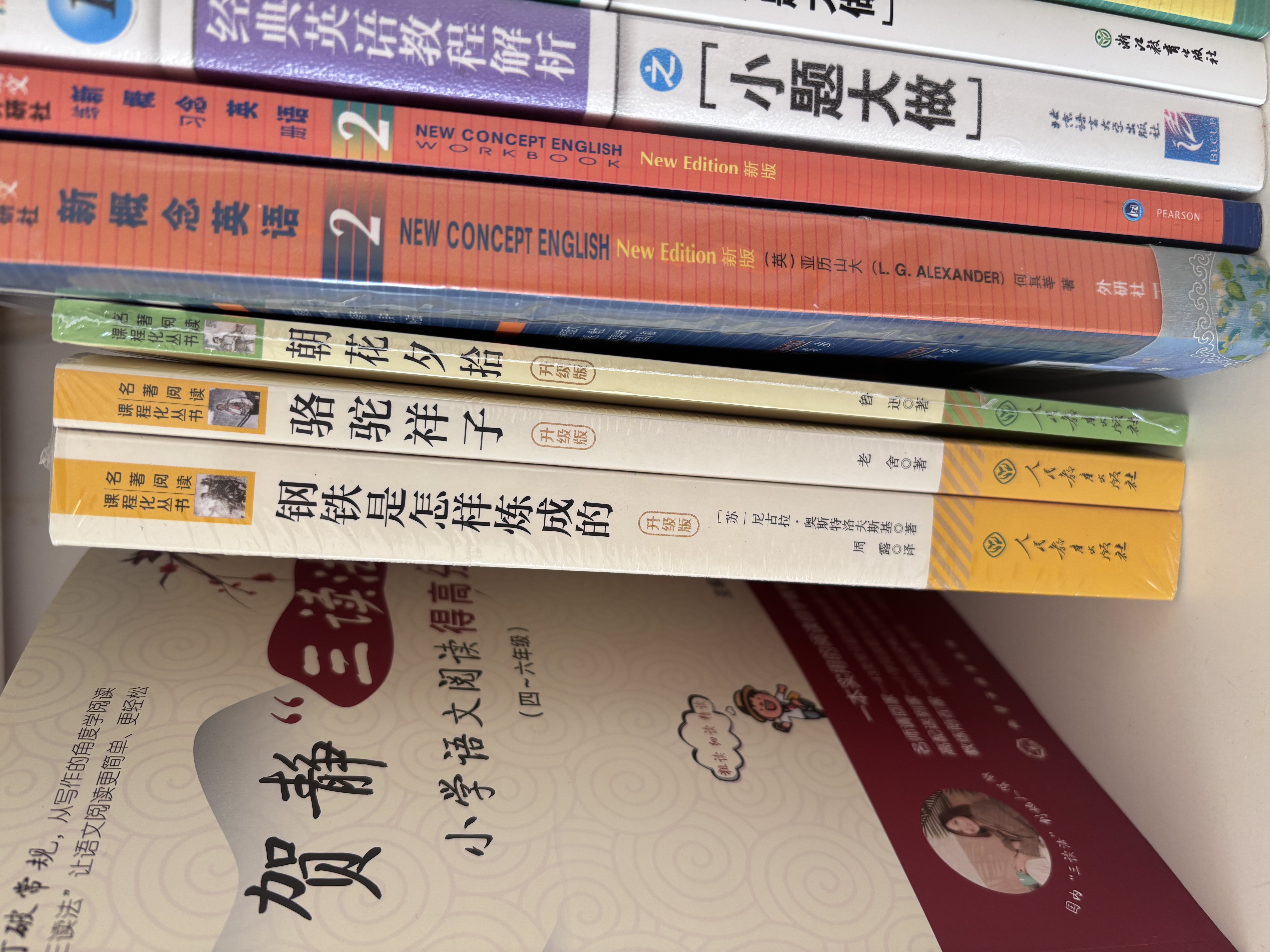 骆驼祥子+钢铁是怎样炼成的（升级版） 人教版名著阅读课程化丛书 七年级下套装（共2册）与25春新版初中语文教材配套使用（含微课，从教学角度讲解名著；含阅读笔记本，提供测评指导帮助提升整本书阅读能力） 实拍图
