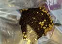 麦富迪猫粮 超肉粒冻干双拼奶糕离乳猫粮呵护免疫 冻干蛋奶2kg 实拍图