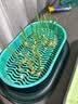 一播大地正常发货小麦草种子当年新种子麦苗无肥榨汁喝大麦种子育苗盆 小麦1斤 实拍图