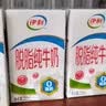 伊利安慕希利乐冠牛油果燕麦酸奶200g*10瓶/箱  礼盒装 实拍图