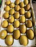 佳沛（zespri）新西兰阳光金奇异果巨大果22粒原箱单果146-175g 猕猴桃水果礼盒 实拍图