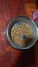 皇家美短成猫粮 ASA31 通用粮 12月以上 10KG 实拍图