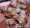 碧翠园生巧坚果燕麦脆饼干300g/盒混合口味高蛋白早餐代餐巧克力零食 实拍图