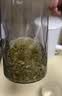 乐品乐茶明前特级毛尖绿茶2026新茶嫩芽春茶茶叶礼盒装250g伴手礼送长辈 实拍图