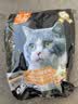 亿迪 冻干猫粮幼猫成猫10斤全价布偶蓝猫英短成年全阶段 实拍图