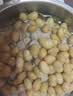 十月稻田 黄豆 2斤 东北大豆 非转基因 打豆浆料包 发豆芽 营养速食早餐 实拍图