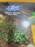 GUO LIAN国联小霸龙青花椒烤鱼2斤2-3人份烧烤加热即食夜宵预制菜 实拍图