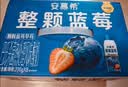 伊利安慕希整颗蓝莓 风味常温酸奶200g*8瓶/箱  礼盒装 实拍图