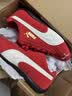 彪马（PUMA）SPEEDCAT薄底鞋复古T头鞋男女秋冬休闲赛车鞋 406329 烈焰红-02 37.5 实拍图
