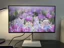 戴尔（DELL）27英寸 4K显示器 IPS 120Hz高刷 99%sRGB 硬件防蓝光 1500:1 适配Mac 办公娱乐显示屏  S2725QS 实拍图