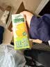 伊利【林一同款】优酸乳嚼柠檬 220g*10盒 礼盒装 实拍图