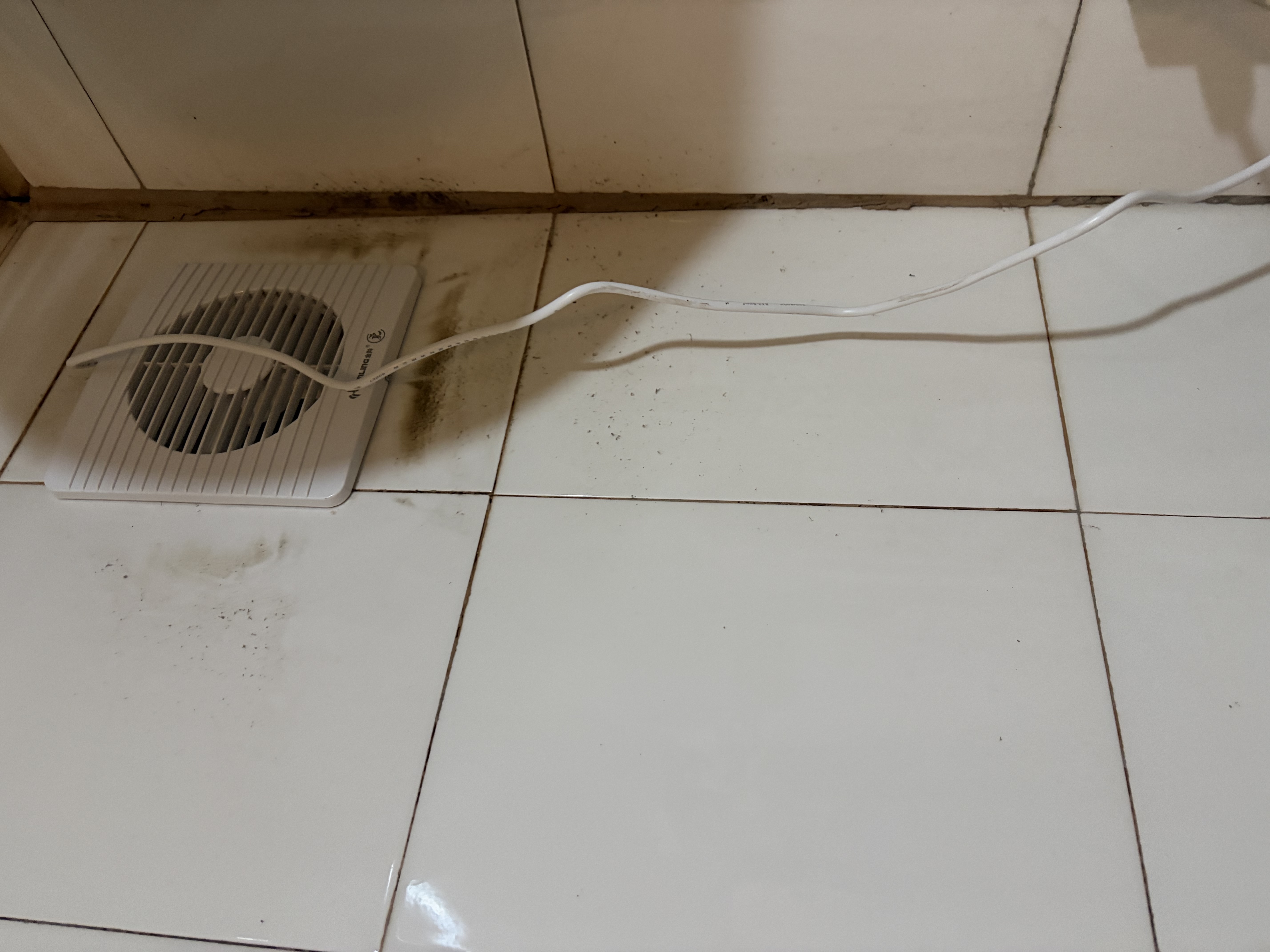 金羚（JINLING）窗墙式排气扇厨房卫生间换气扇低噪排风扇强力抽风6寸APC15-2-2H1 实拍图