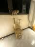 唐米吉吉加粗大型猫爬架猫窝猫树一体太空舱猫架子小户型不占地剑麻猫玩具 【146cm性价比款】破价冲量 实拍图