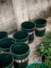 花盆绿植盆栽加厚塑料简约多肉小盆阳台客厅月季玫瑰大号家用花盆 高款5加仑(口径26.5cm)2个盆 配套托盘 实拍图