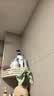 海飞丝去屑控油蓬松金榜洗发水止痒呵护1KG洗头膏洗发露男女士京东自营 实拍图