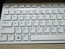 戴尔（DELL）KB216键盘有线商务办公键盘笔记本电脑台式机外接配件全尺寸静音键盘USB即插即用防泼溅（白色） 实拍图