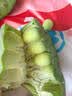 湖北新鲜莲蓬【加冰顺丰空运】洪湖水果嫩莲蓬 鲜莲子太空莲2斤装 实拍图