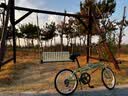 大行（DAHON）D6折叠自行车20英寸6速成人休闲单车 KBC061 青草绿 20英寸 实拍图