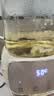 苏泊尔（SUPOR）全玻璃养生壶 煮茶壶1L迷你养生杯煮茶器花茶壶 恒温水壶 调奶器 保温烧水壶0胶水 SW-10Y08QA 实拍图