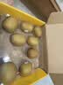 佳沛（zespri）新西兰金奇异果12粒特大果124-146g猕猴桃水果礼盒 实拍图