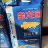 金龙鱼东北大米 盘锦大米10斤 蟹稻共生蟹田大米 实拍图