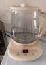 九阳（Joyoung）养生壶1.5L全自动煮茶器花茶壶316不锈钢智能保温烧水一体电热水壶恒温水壶母婴泡奶机WY301 实拍图