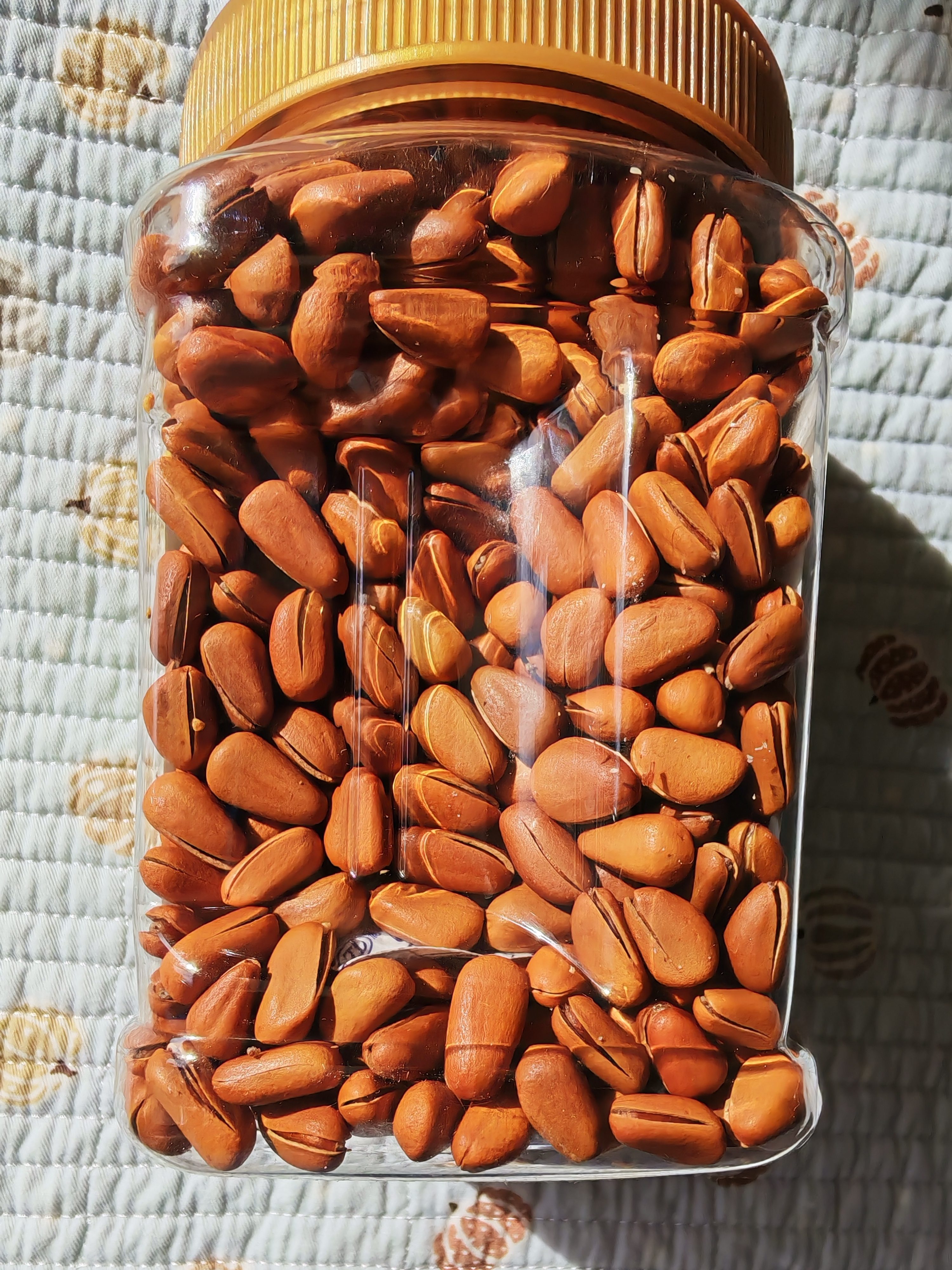 良品铺子长白山精选红松500g手剥红松罐装东北大颗粒松子坚果零食送礼 实拍图