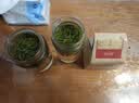 梅府茗家2026新茶叶明前特级龙井绿茶老树春茶自己喝饮200g 实拍图