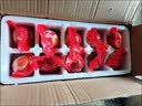 NORTHERN EGGS北极蛋 白洋淀咸鸭蛋礼盒装65g*20枚 实拍图