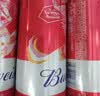 百威【梅西同款】经典红罐啤酒450ml*18罐整箱装京东自营 实拍图