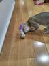 欢宠网猫玩具猫咪不倒翁羽毛铃铛逗猫棒球自嗨解闷神器猫猫小猫幼猫宠物 实拍图