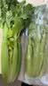 京鲜生云南高原水果西芹 净重4斤装 新鲜采摘 源头直发  实拍图