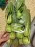 上海青约500g(油菜) 实拍图