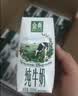 伊利【新鲜日期】金典纯牛奶200ml*24盒3.6g乳蛋白礼盒装 实拍图